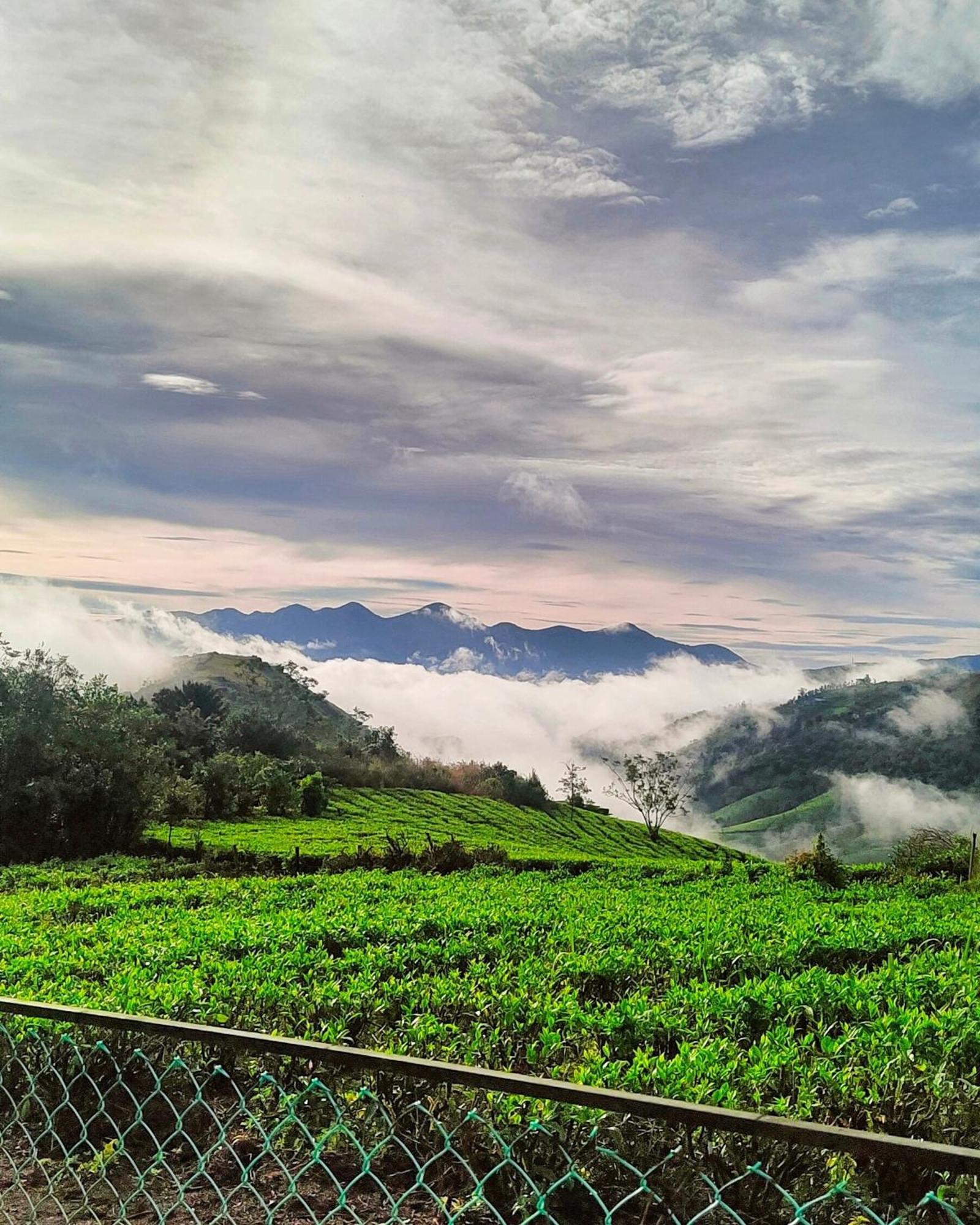 Cloud Canopy - Tea Garden Family Pool Cottage In Vagamon Exterior foto
